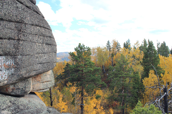 Случайное фото
