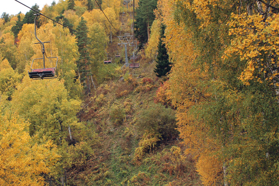Случайное фото